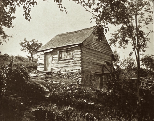 Cabin