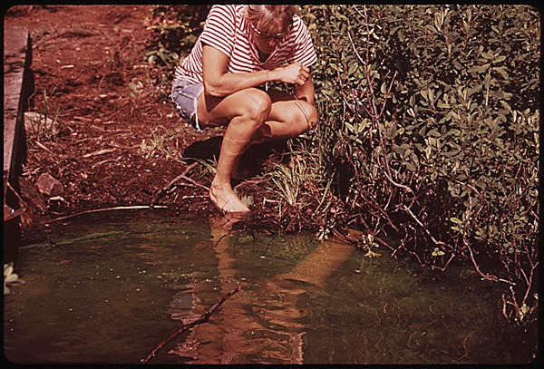 14-0281a - LOCAL INHABITANT TESTS SEPTIC SYSTEM WITH PACKET OF PYLAM DYE AND SEES IT LEACH INTO LAKE.gif