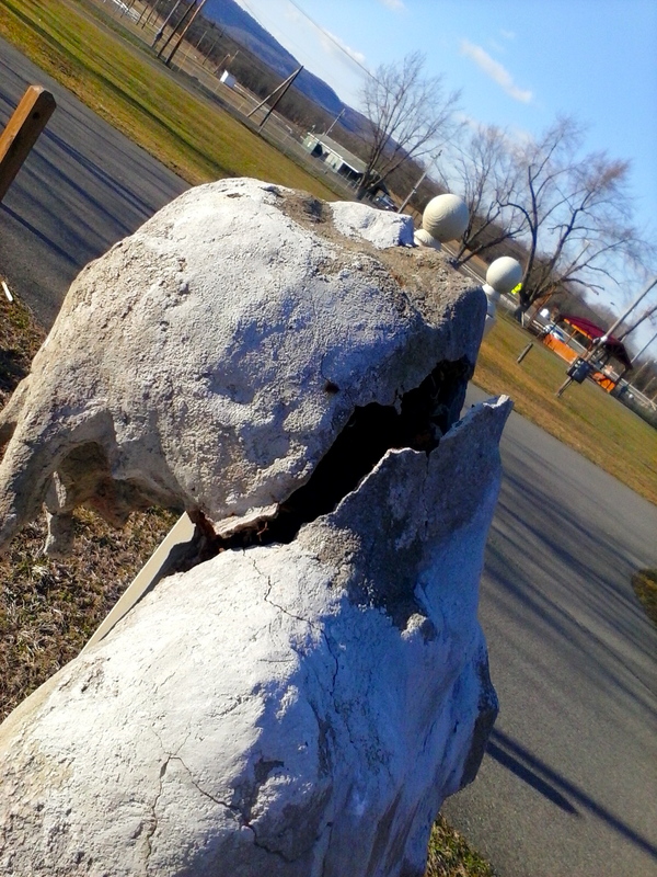 IMG_20130403_174337.jpg IMG_20130403_174337.jpg