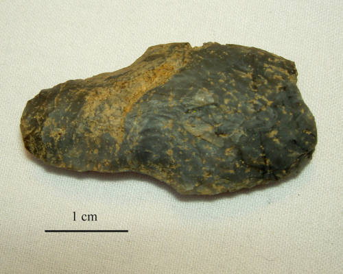 36-288-2580 Adena PP.jpg