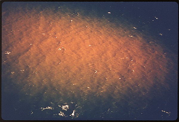 15-0232a - CLOSEUP OF ACID WASTES DUMPED 15 MILES OFFSHORE IN THE NEW YORK BIGHT.gif