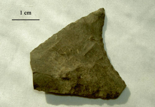 72-660-4815 Levanna PP.jpg