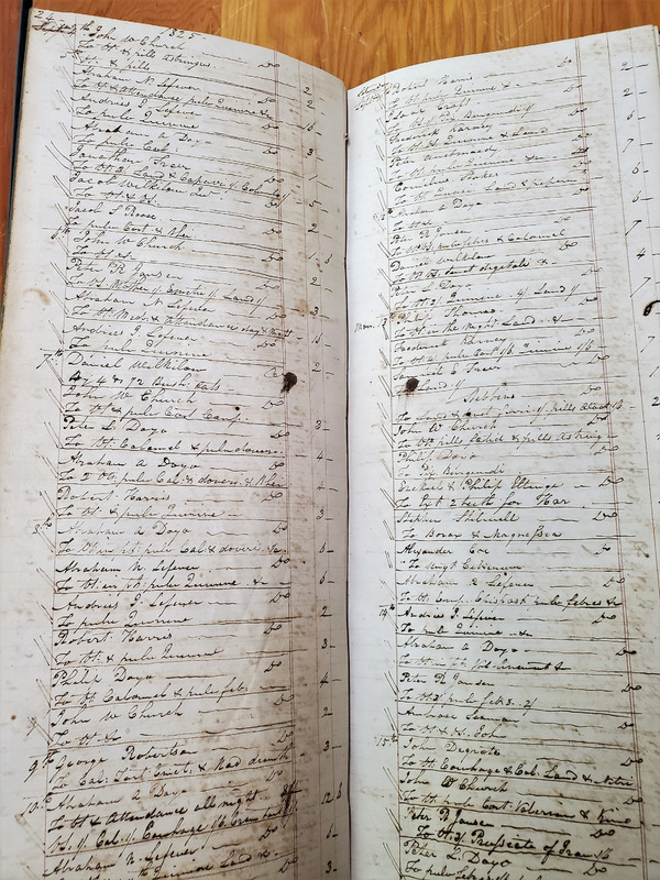 MSS-330.000.029-Bogardus-medications-ledger.jpg