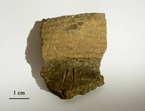 33-255-2131- Pottery (Kelso Corded).jpg