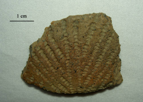 26-223-1978 (a) Pottery (Kelso Corded).jpg