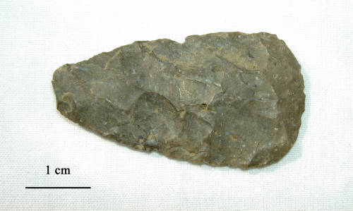 45-392-2834 Meadow Blade.jpg