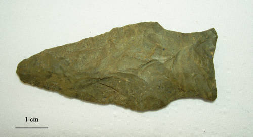 78-730-5367 Orient Fishtail PP.jpg