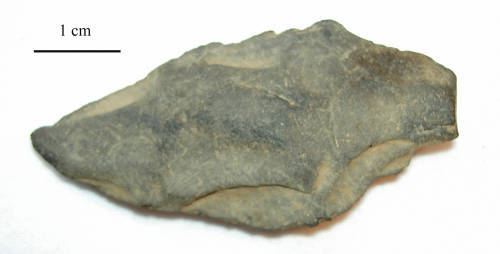 62-475-3599 (Adena) PP.jpg