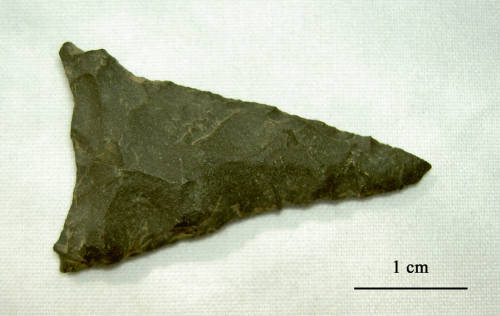 51-476-3467 Madison PP.jpg