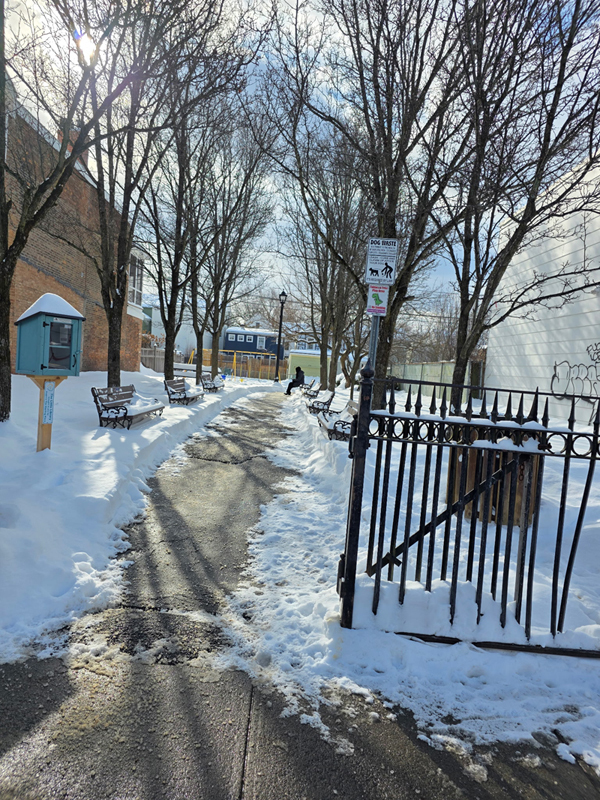 image for item in a row of 2, linking to full sized image.