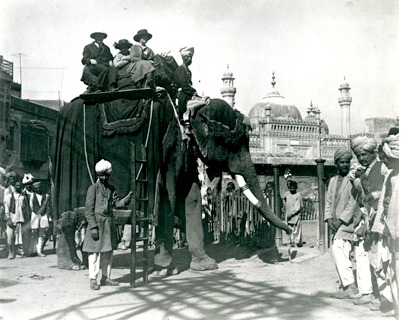 Elephant.PNG