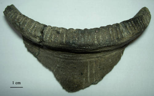78-738-5415 (d) Pottery (Kelso Corded- Oakhill Phase).jpg