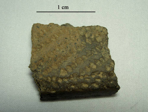 111-1208-6563 (Oak Hill Corded) Pottery (2).jpg