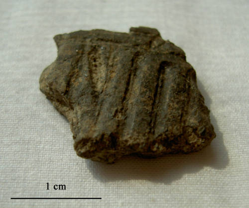 86-970-6067 Pottery Rim and Fragment (Kingston Incised).jpg