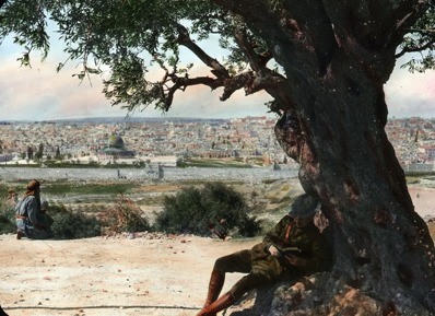 LT under a tree.PNG