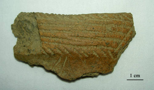 34-287-2672 Pottery Rim(Bainbridge Linear- Oakhill).jpg