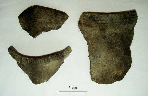 78-738-5415 Pottery (Kelso Corded- Oakhill Phase).jpg