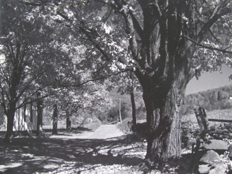 KC fall landscape.jpg