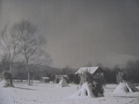 KC winter landscape.jpg