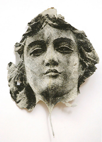 Tenacious Leaves.jpg