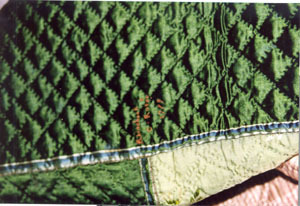 tx00210.jpg