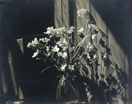 WAAM-1985-21-05-Hunt-Floral.jpg WAAM-1985-21-05-Hunt-Floral.jpg