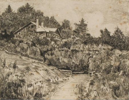 white pines.jpg