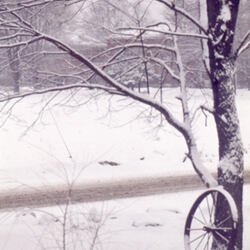snow.jpg
