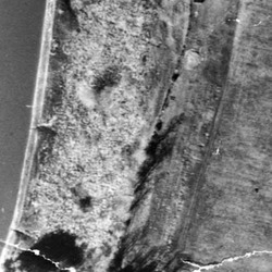 cemetary 1954 .jpg