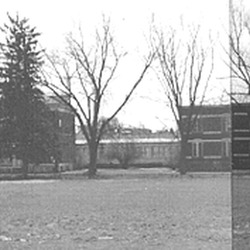 montage front view.tif